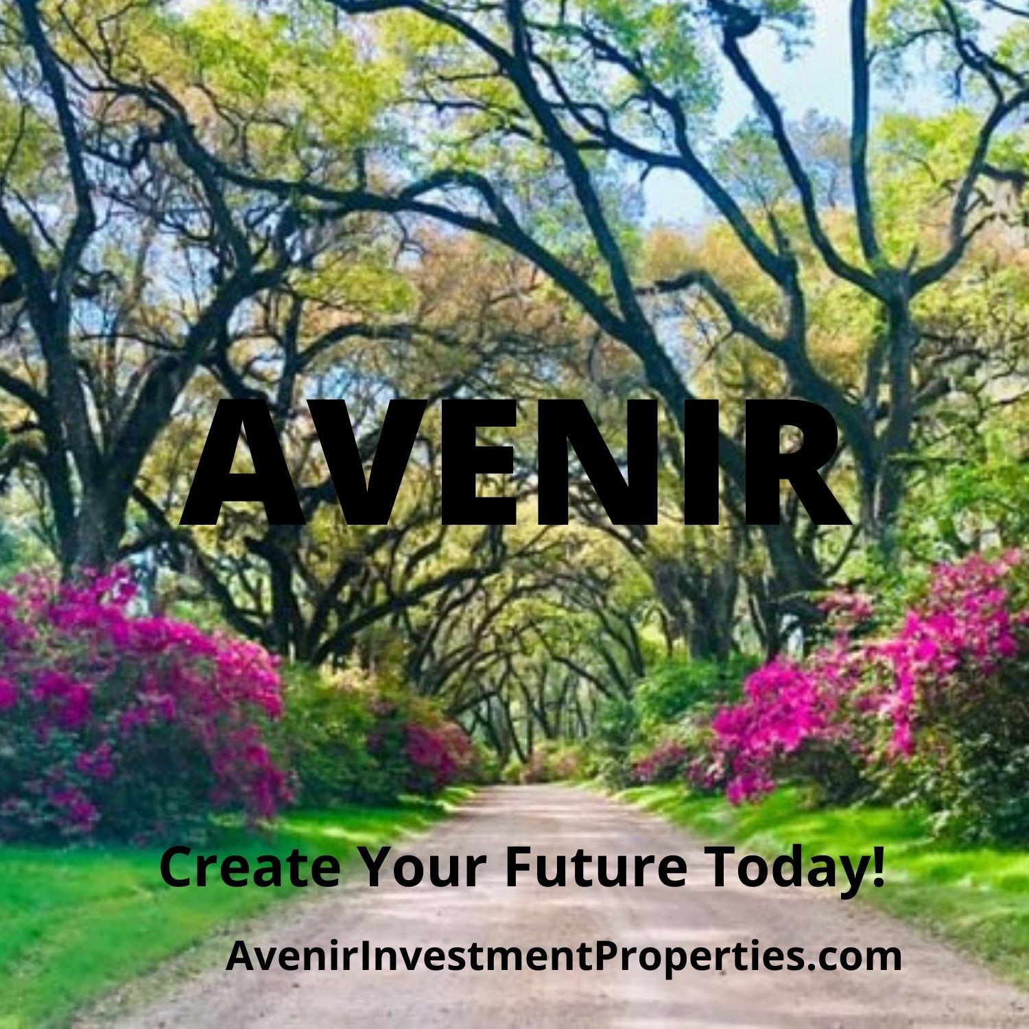 AvenirInvestmentProperties.com